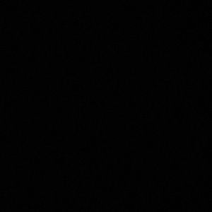 Meet your Posher, Gene